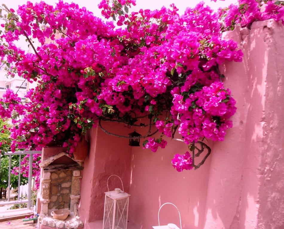 Casa Antica Lejlighed Rhodes City Eksteriør billede
